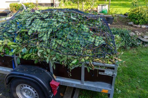 Best Recycling Services for Junk  in Warrensburg, MO